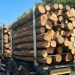 Grumes de hêtre sec livrées par 1 camion – 60M3